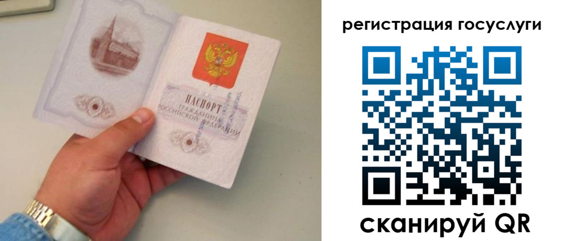 прописка регистрация в Бердске